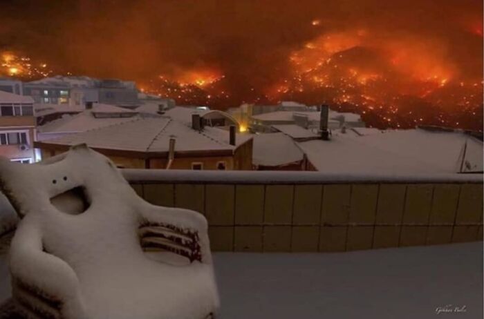 Cursed-Blessed-Blursed-Images