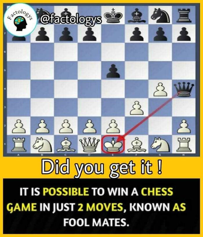 Interesting-Facts-Factologys