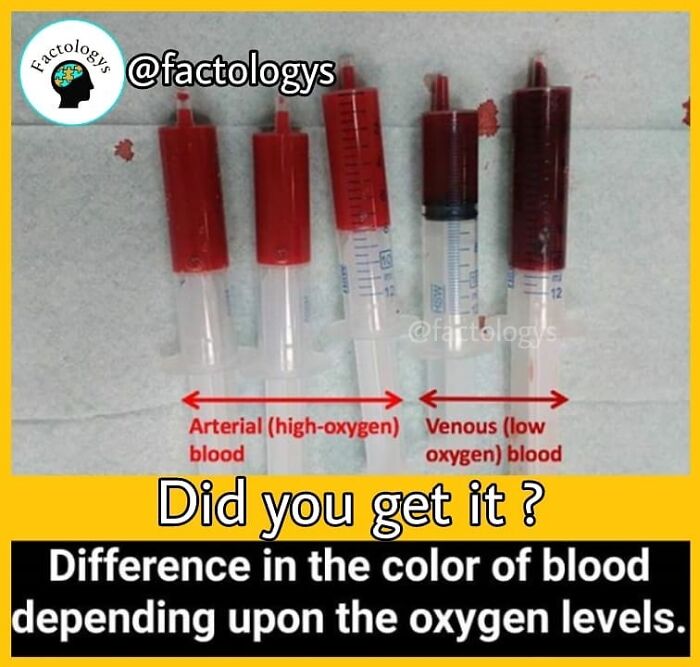 Interesting-Facts-Factologys