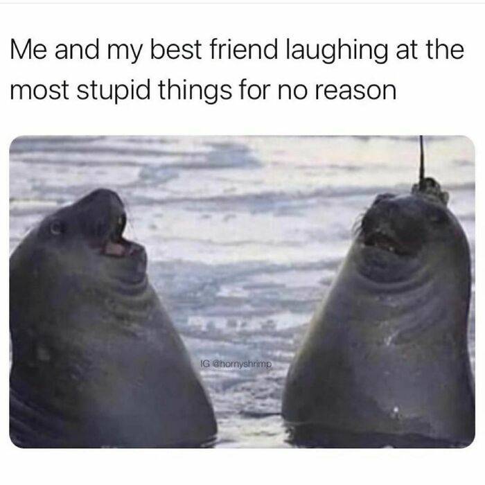 Funny-Relatable-Memes-Mybestiesays