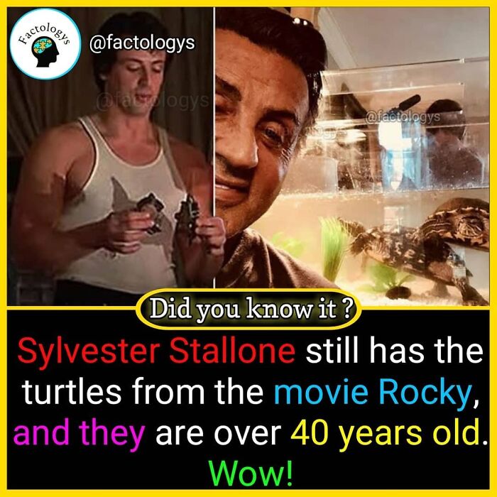 Interesting-Facts-Factologys