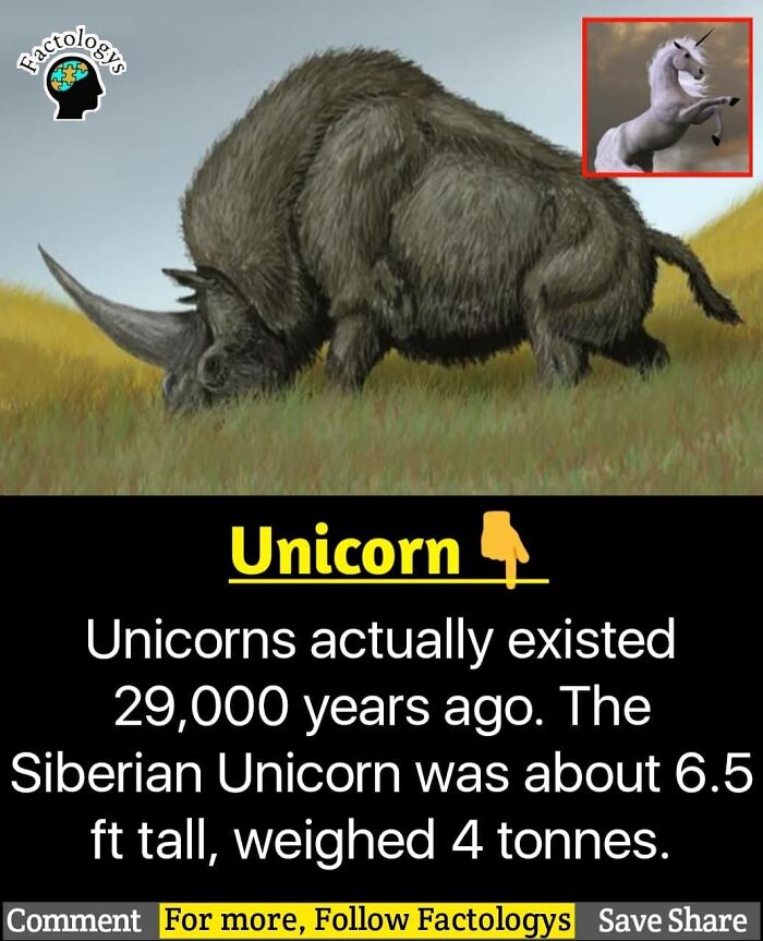 Interesting-Facts-Factologys