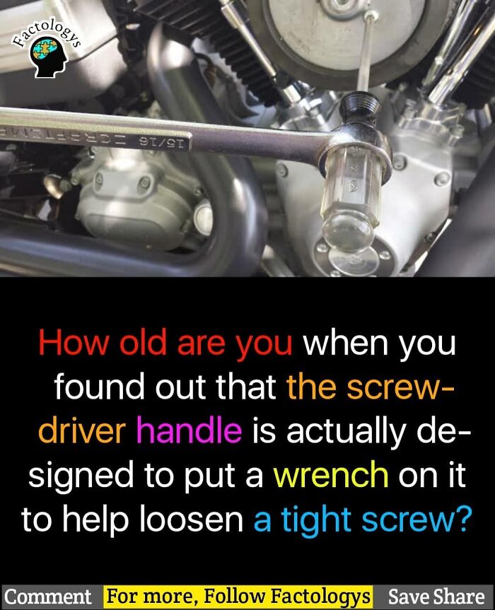 Interesting-Facts-Factologys