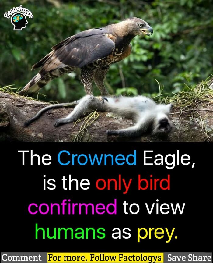 Interesting-Facts-Factologys