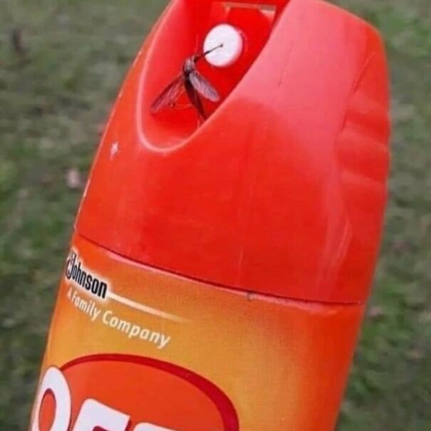 Disturbing-Cursed-Images