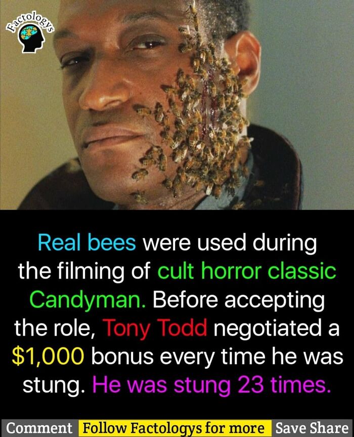 Interesting-Facts-Factologys