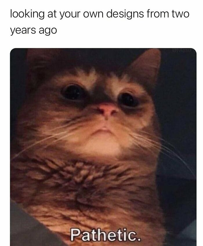 Cat meme depicting designers humor, reflecting on past work with a judgmental expression.