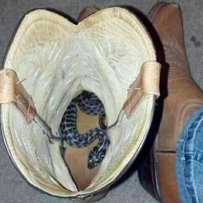 50 Images For Those Venturing Beyond The Blessings Of The Internet (New Pics)