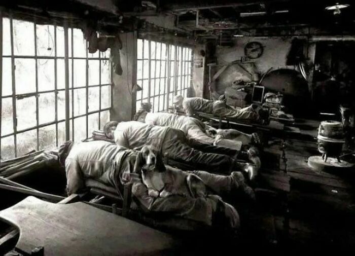 Powerful-Historic-Pictures