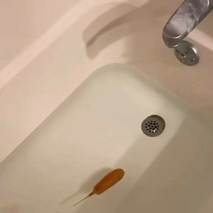 50 Images For Those Venturing Beyond The Blessings Of The Internet (New Pics)