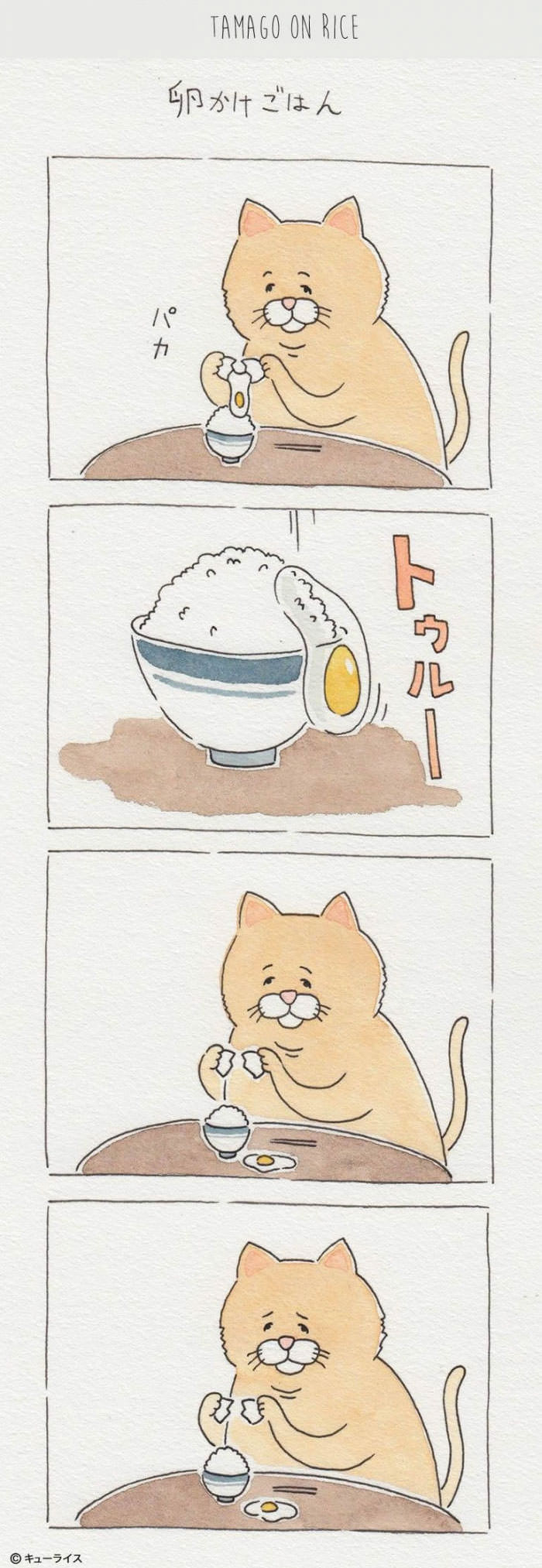 I've Made 8 Hilariously Chubby Cat Comics About Food Fails That Are Way Too Relatable