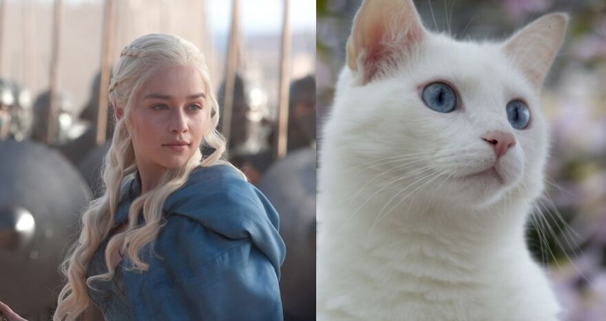 10 Game Of Thrones Characters And Their Cat Look-A-Likes