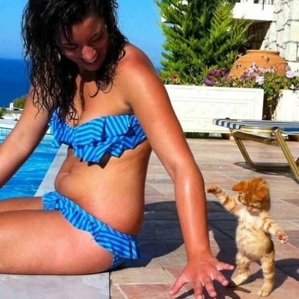 10+ Cats Caught Doing The Strangest Things