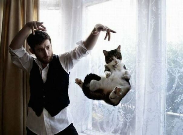 10+ Cats Caught Doing The Strangest Things