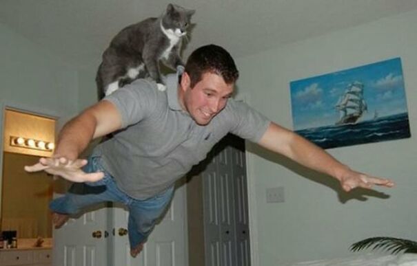10+ Cats Caught Doing The Strangest Things