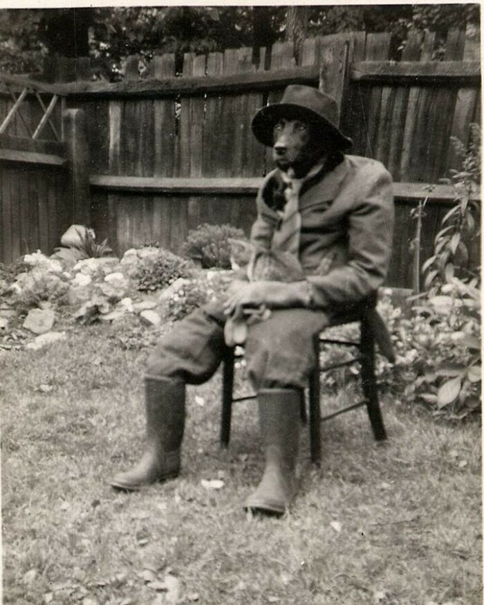 Perro en un traje con un gatito en su regazo, 1950 aprox.
