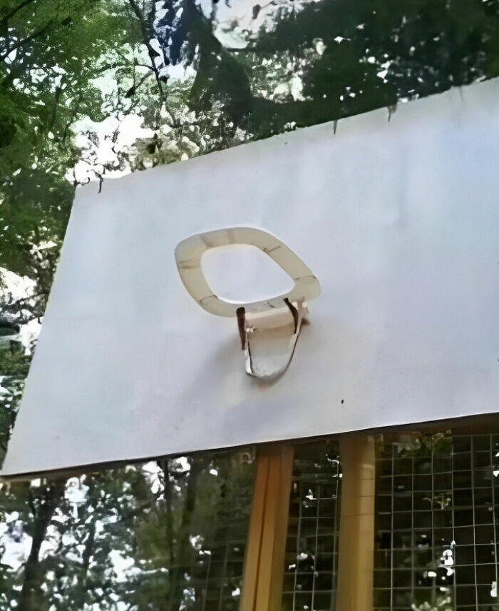 30 Pics That Raise More Questions Than Answers, Posted By "Images That Need More Context"