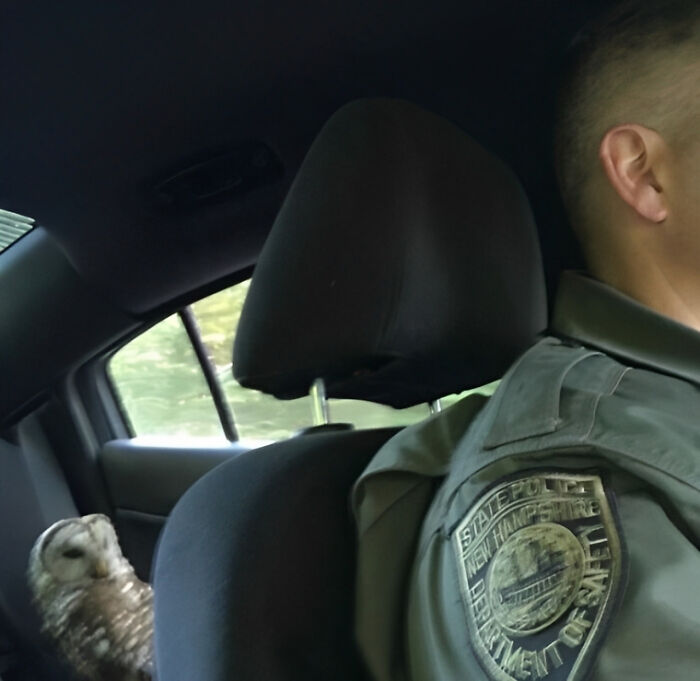 30 Pics That Raise More Questions Than Answers, Posted By "Images That Need More Context"