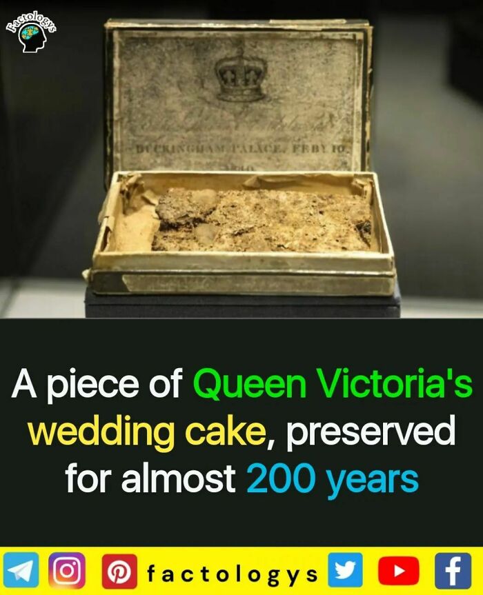 Interesting-Facts-Factologys