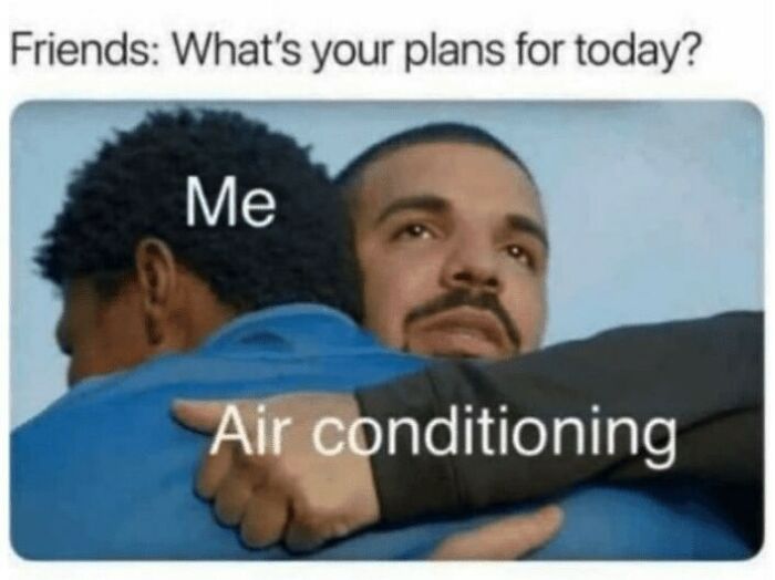 If Your Plans Involve That, Count Me In