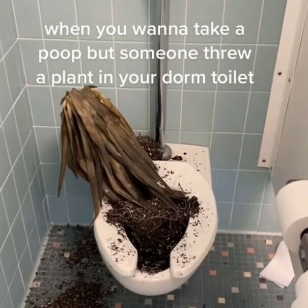 Disturbing-Cursed-Images