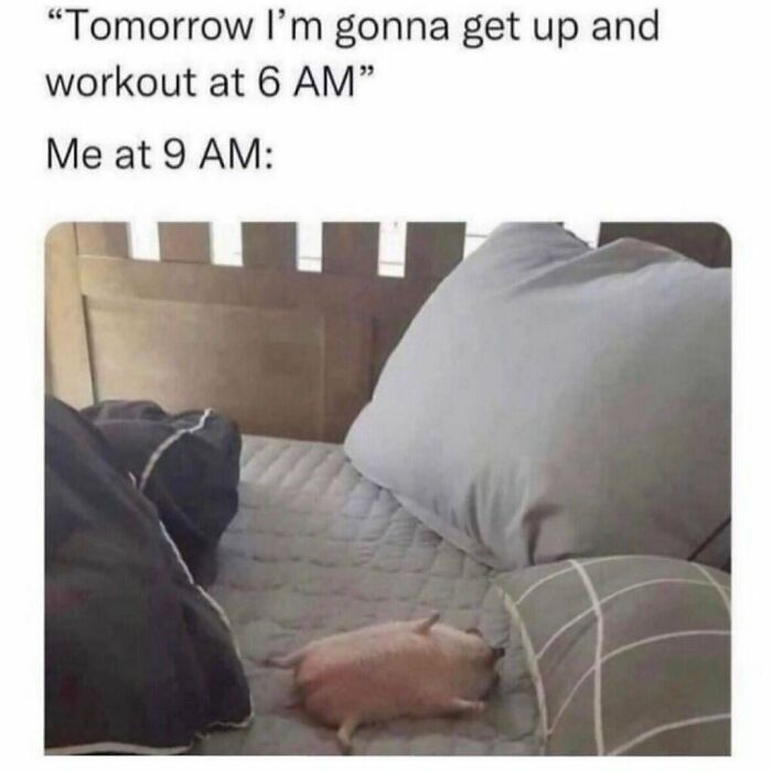 Hilarious-Sarcastic-Memes