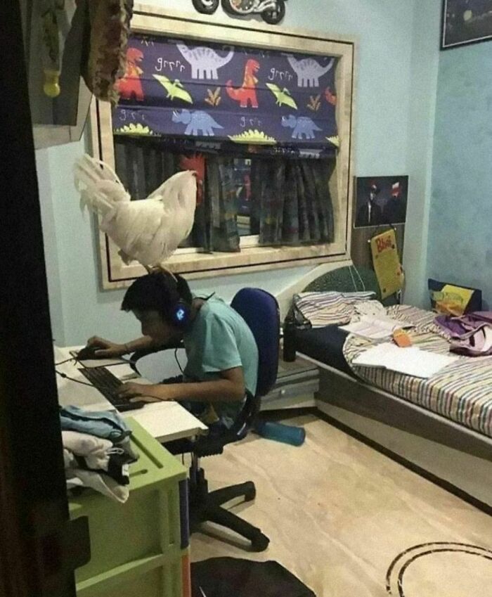 30 Pics That Raise More Questions Than Answers, Posted By "Images That Need More Context"