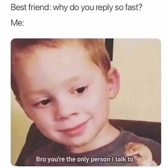 Hilarious-Sarcastic-Memes