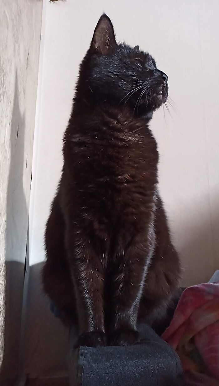 Pouzz, On Morning Guard Duty