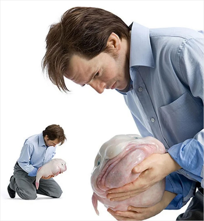 David Is Sad About His Blobfish Friend