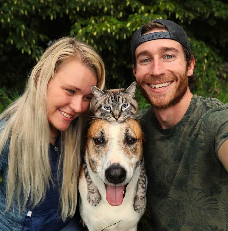 Rescue Dog And Cat Become Besties And Take Adventures Together
