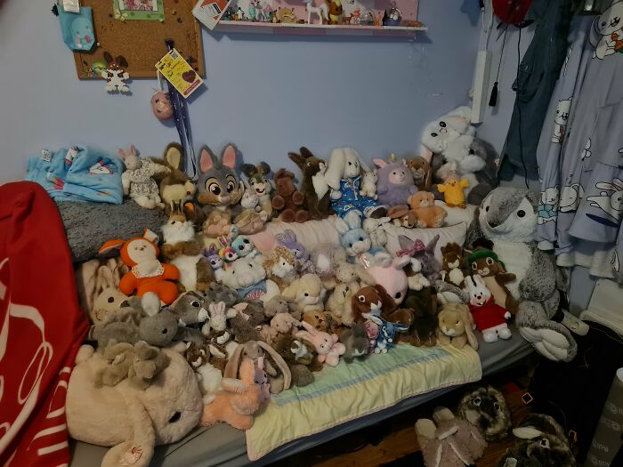 Guess My Favorite Animal