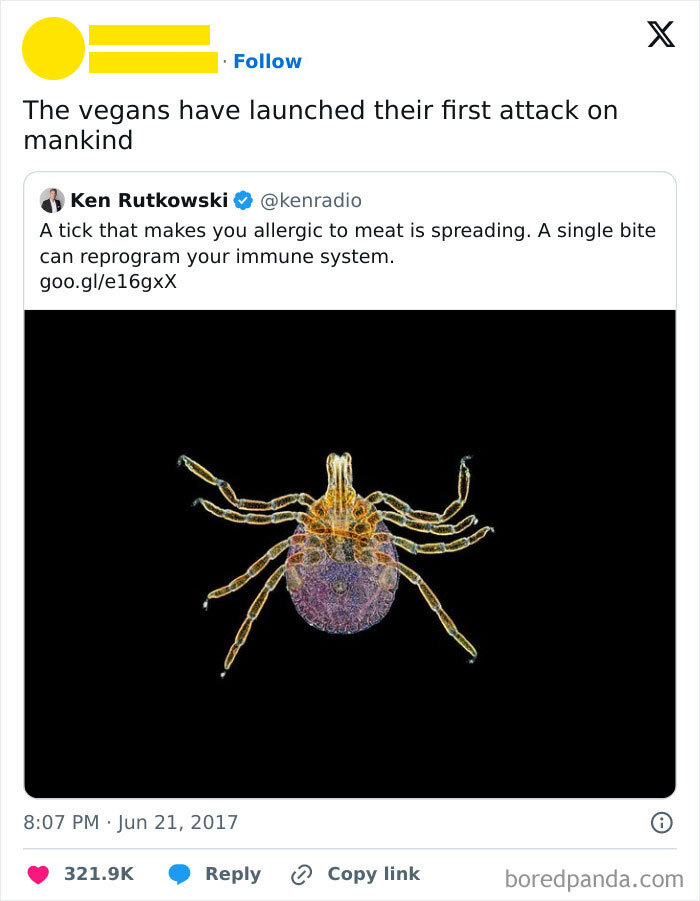 Tick close-up with text about a tick causing meat allergy, used as a vegan meme.