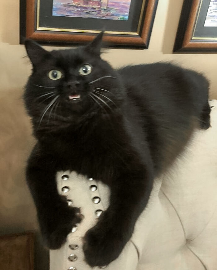 I Don't Know What Happened Here