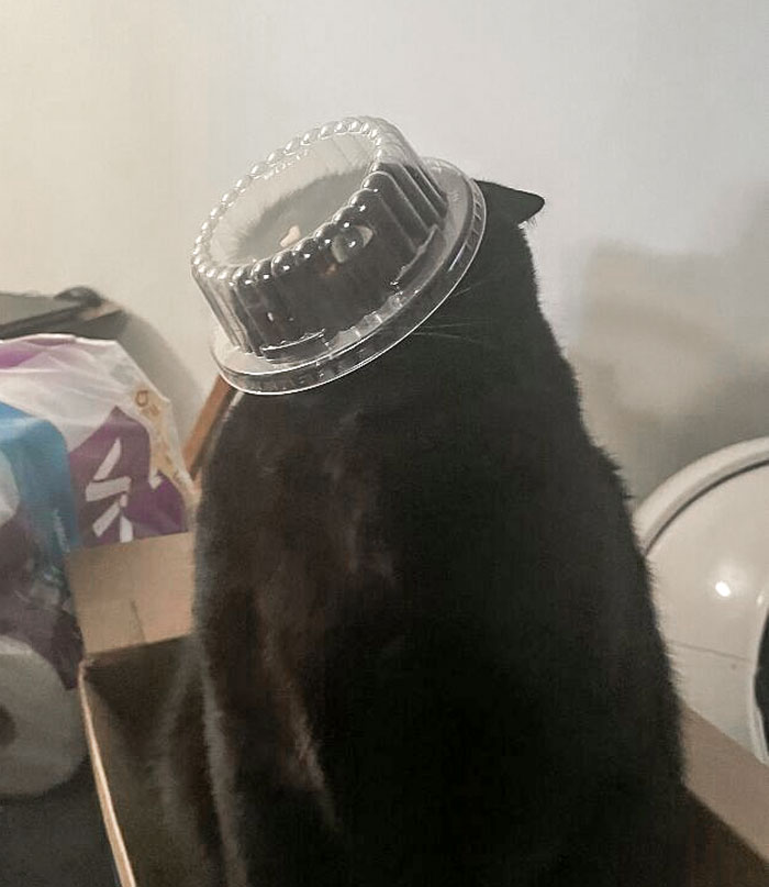 He dejado de vigilarle 5 segundos