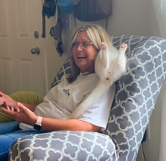 Mi madre comprobando lo raro que es nuestro nuevo gato