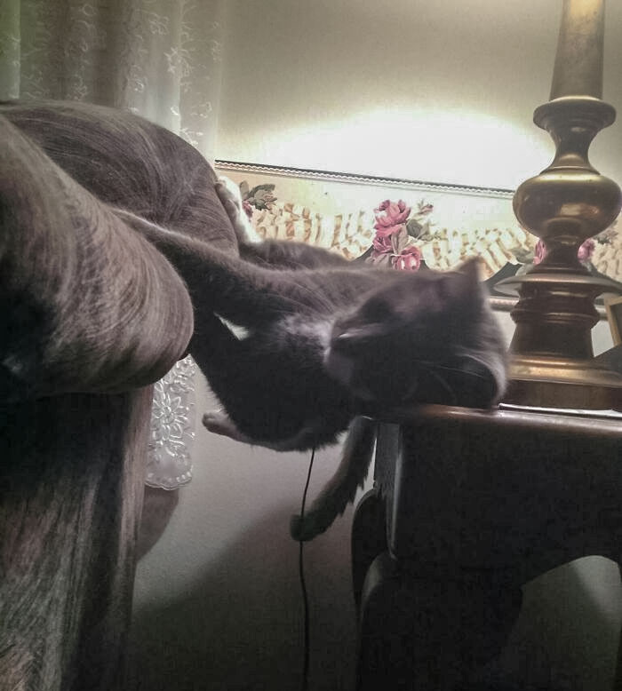 I Know Cats Like To Sleep In Weird Positions, But This Is Probably The Most Ridiculous