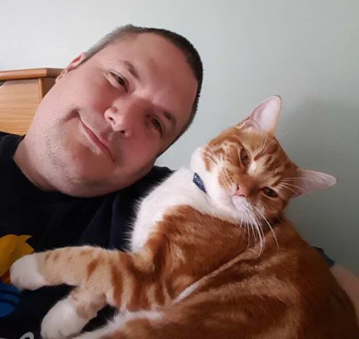 Among All The Bad Things, You Know Getting A Cat Is The Best Decision You’ve Ever Made