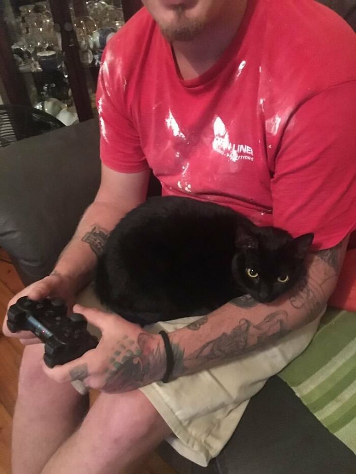 The Anger When Your Cat Sits On Someone Else’s Lap