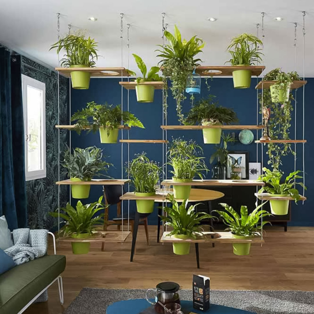 Many green flower pot succulents hanging as a room divider in a living room Many green flower pot succulents hanging as a room divider in a living room