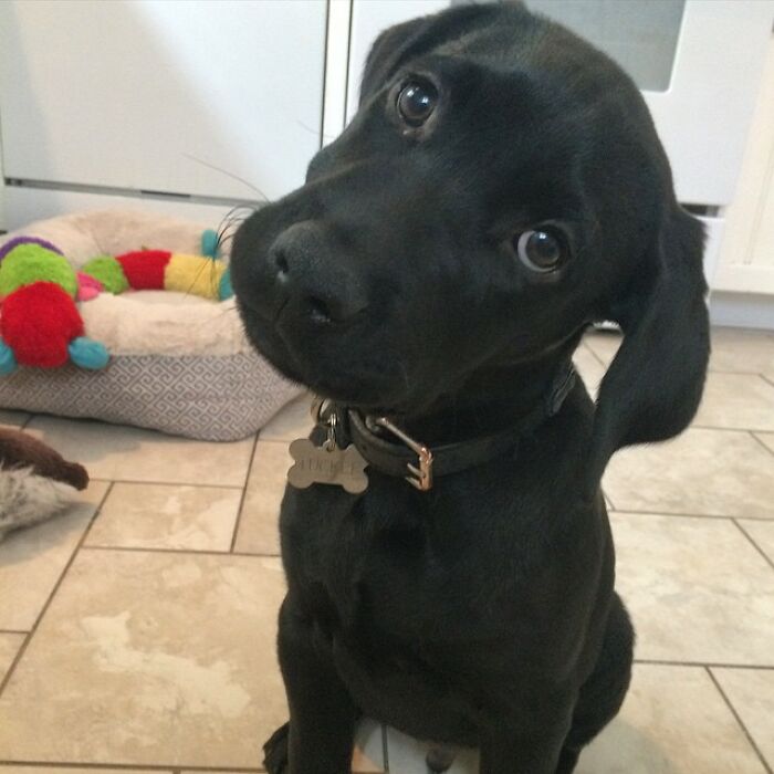 You Could Drown In Those Eyes