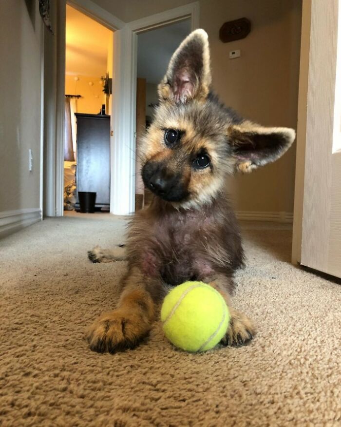 Wanna Play With Me Friend?