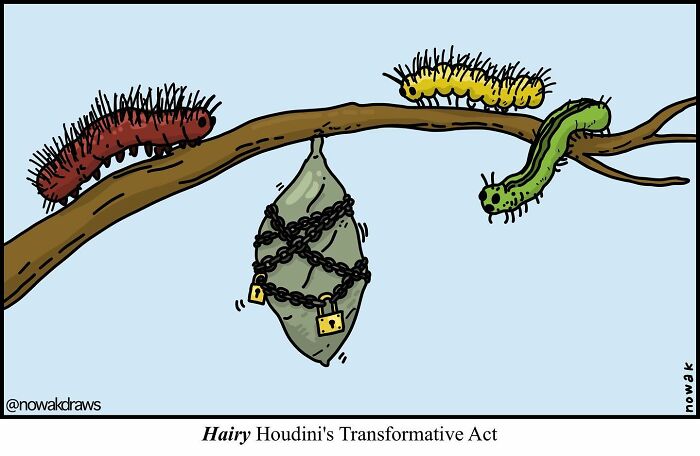 Here Are 39 New Silly Single-Panel Illustrations By Joseph Nowak