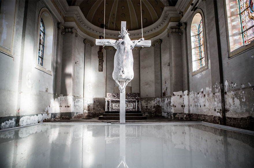 Holy Cow Project