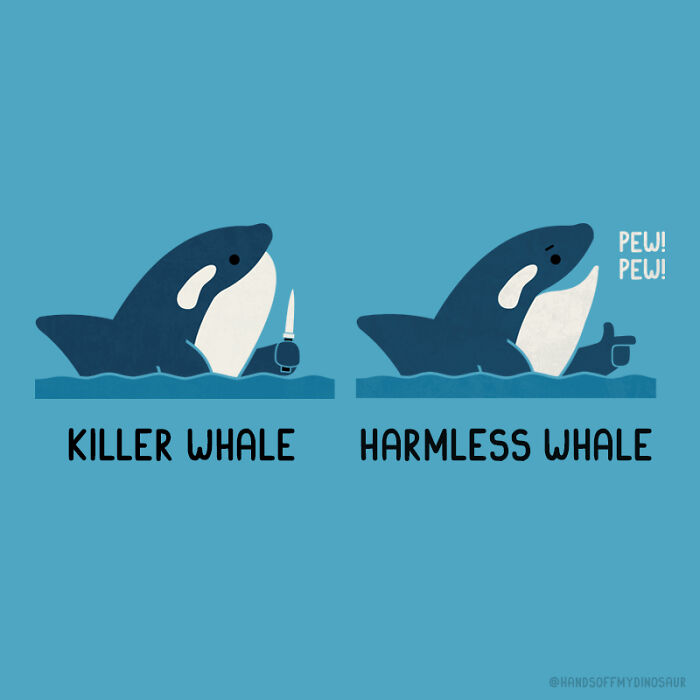 Killer Whale
