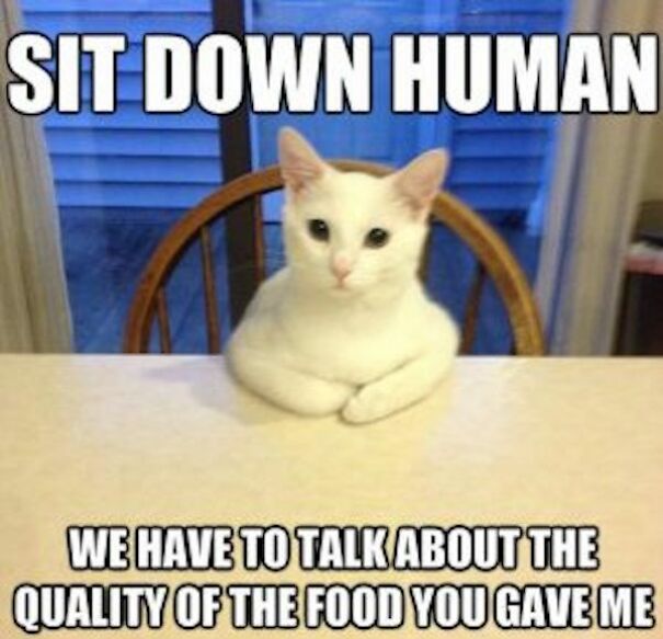 Ah Yes, The Classic Serious Talk Position