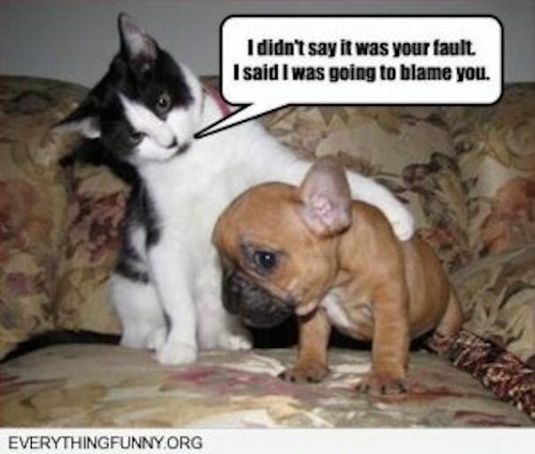 After Looking At This For The 3rd Time, I Started Feeling Bad For The Puppy