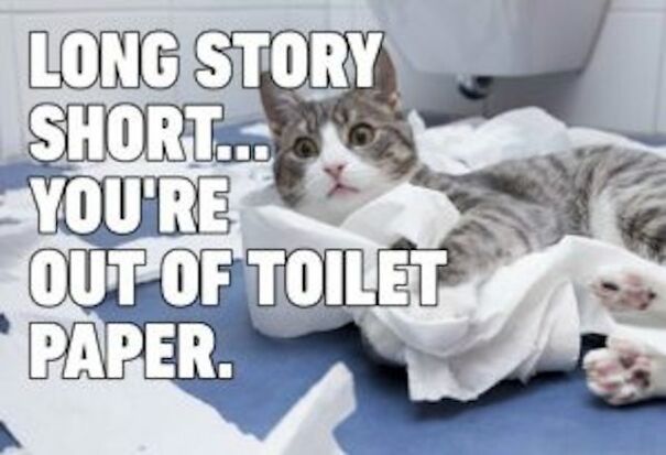 Every Cat Owner Can Relate