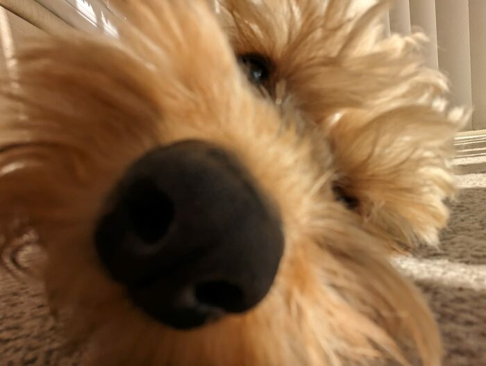 She Has Just Seen A Ghost