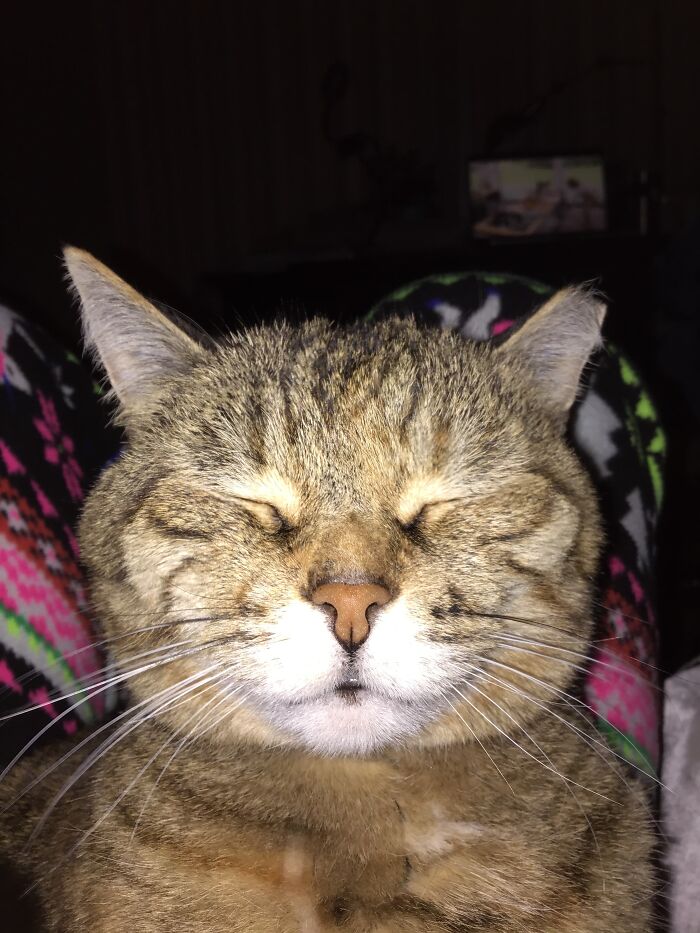 This Is Nala, But Most People Just Call Her Rat